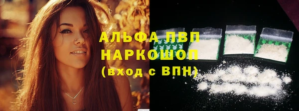 сатива Алзамай