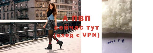 индика Арсеньев