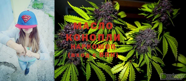 индика Арсеньев