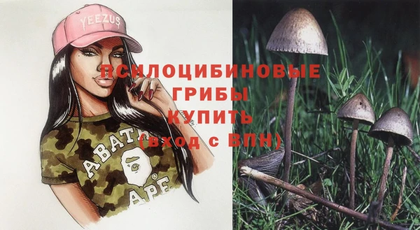 твердый Алексеевка