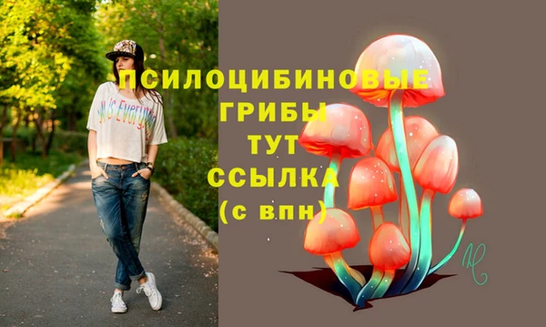 apvp Аркадак