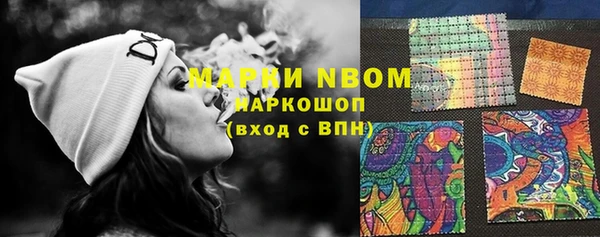 сатива Алзамай